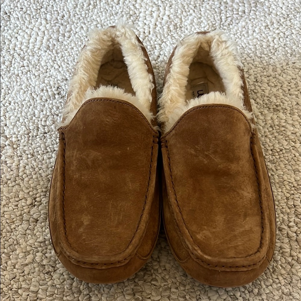 Men's Tan Ugg Ascot Shoes; Never Been Worn